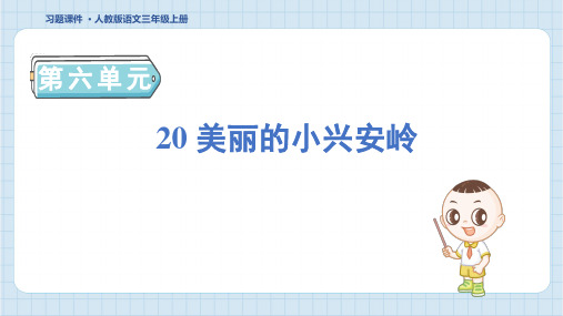 三年级语文上册20 美丽的小兴安岭课件