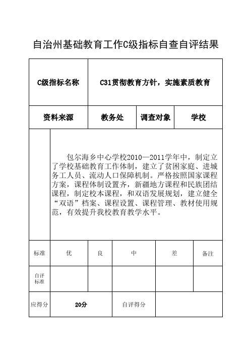 c31自查自评统计表