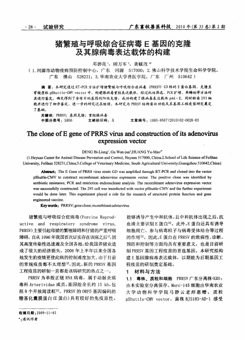 猪繁殖与呼吸综合征病毒E基因的克隆及其腺病毒表达载体的构建