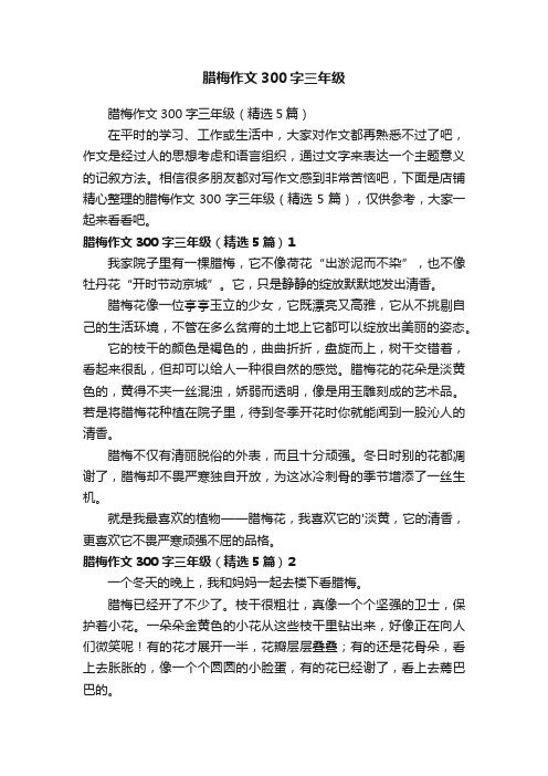 腊梅作文300字三年级