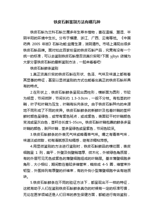 铁皮石斛鉴别方法有哪几种