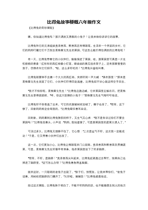 比得兔故事梗概六年级作文