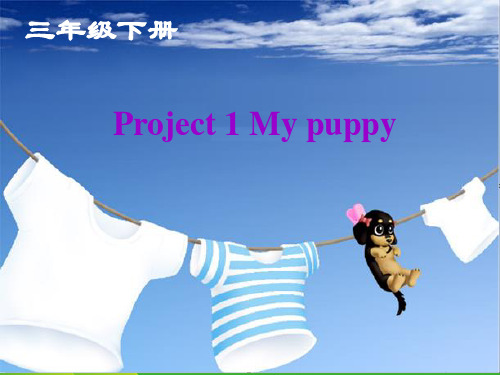 牛津译林版三年级英语下册《Project 1 My puppy》公开课课件