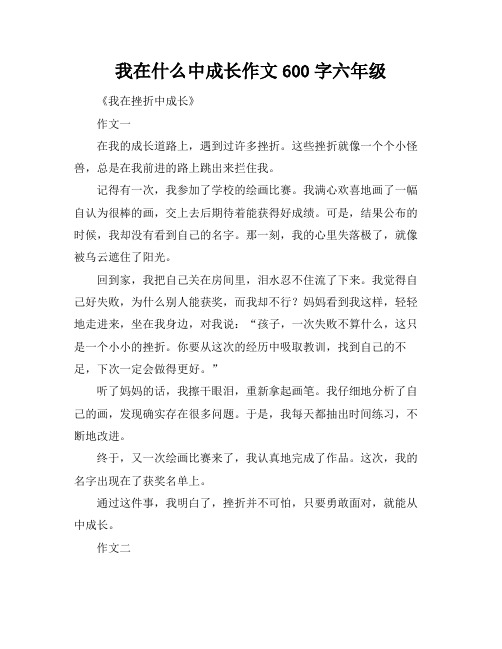 我在什么中成长作文600字六年级