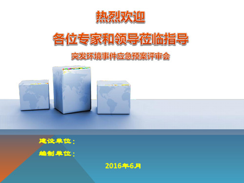 突发环境事件应急预案评审会汇报ppt (模板)