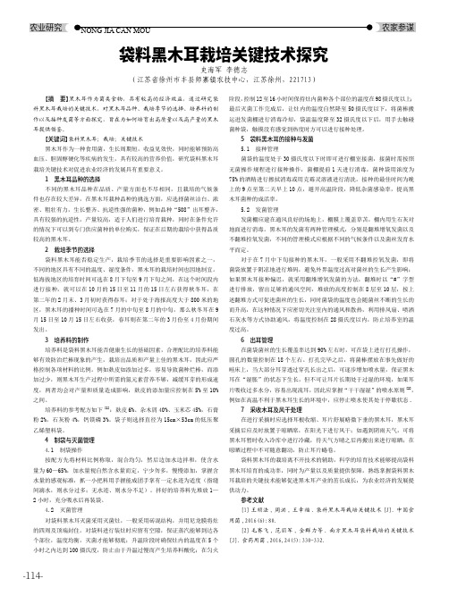 袋料黑木耳栽培关键技术探究