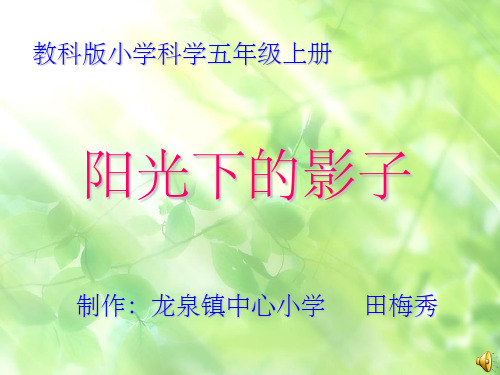 《阳光下的影子》ppt课件