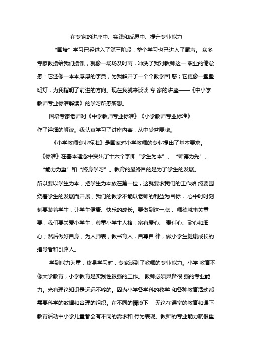 在专家的讲座中实践和反思中提升专业能力