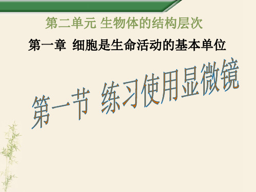 练习使用显微镜PPT课件40 人教版