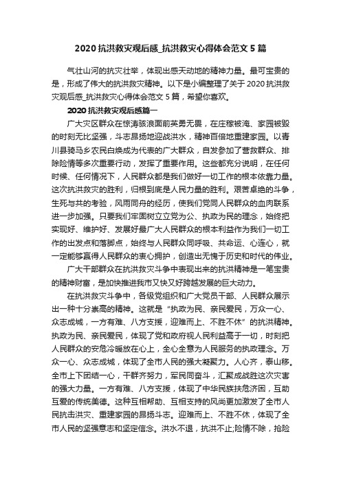 2020抗洪救灾观后感_抗洪救灾心得体会范文5篇