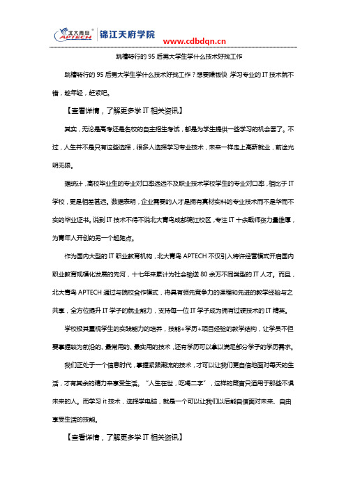 跳槽转行的95后男大学生学什么技术好找工作?