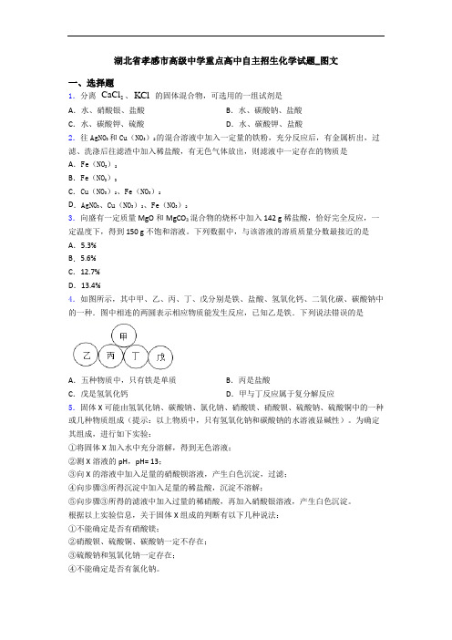 湖北省孝感市高级中学重点高中自主招生化学试题_图文