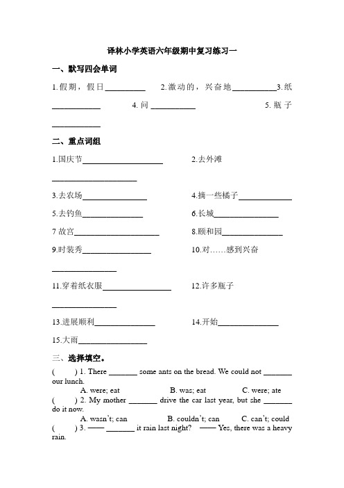 苏教译林版英语六年级上册期中测试题 (12)