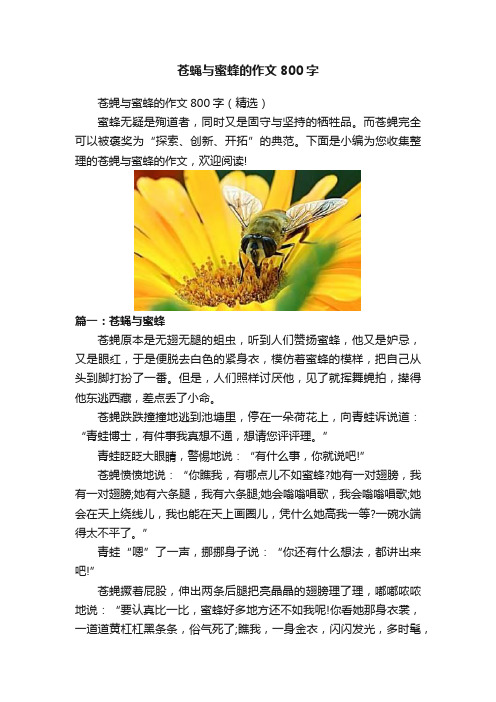 苍蝇与蜜蜂的作文800字