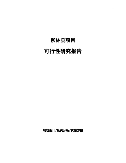 柳林县投资项目可行性研究报告