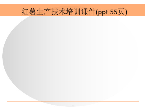 红薯生产技术培训课件(ppt 55页)