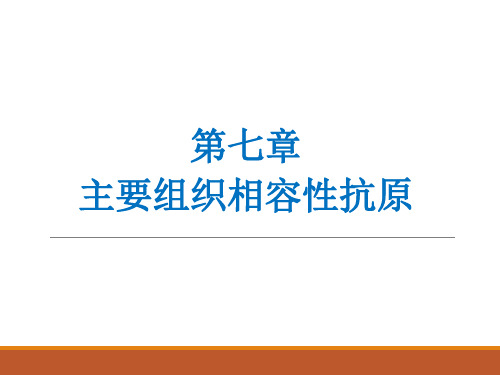 医学免疫学课件  第七章+主要组织相容性抗原