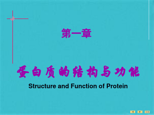 生物化学  蛋白质的结构与功能(共113张PPT)