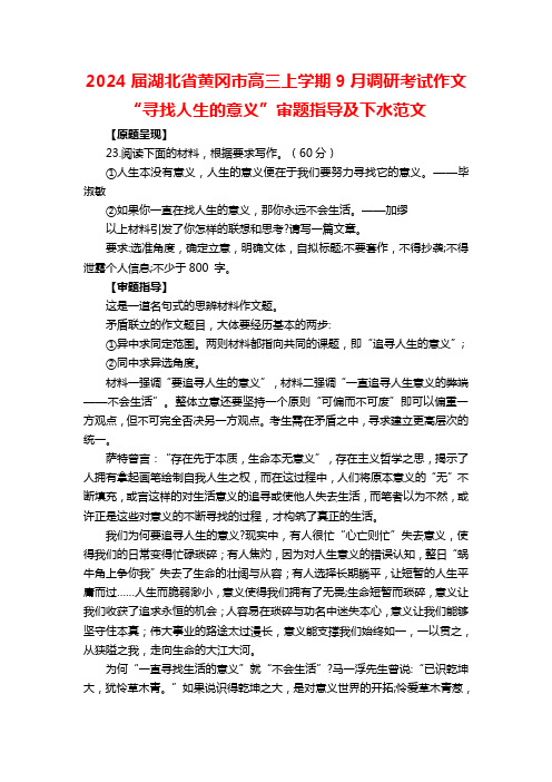 2024届湖北省黄冈市高三上学期9月调研考试作文“寻找人生的意义”审题指导及下水范文