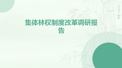 集体林权制度改革调研报告