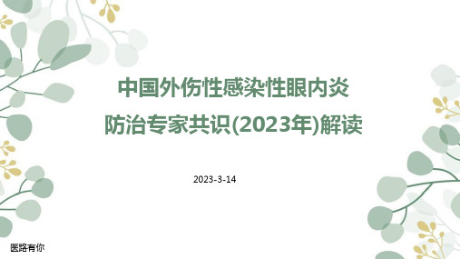 中国外伤性感染性眼内炎防治专家共识(2023年)解读