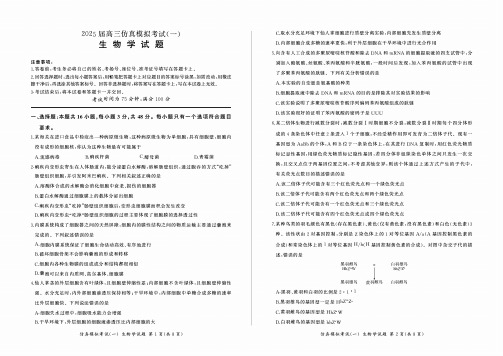 2024-2025学年百师联盟高三上学期仿真模拟(一) 生物试题及答案