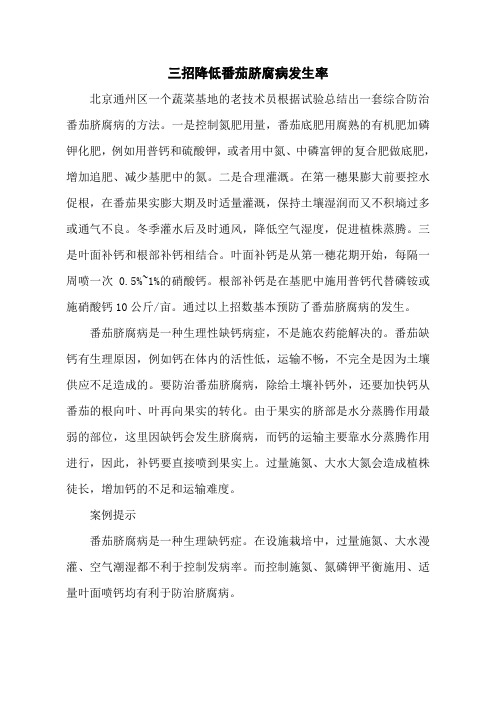 三招降低番茄脐腐病发生率