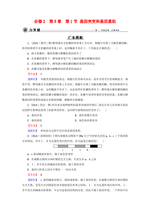 高考生物一轮复习(必修二)第5章第1节《基因突变和基因重组》模拟练习及答案