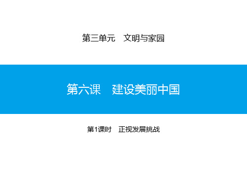 九年级道德与法治上册 《建设美丽中国》文明与家园课件(第1课时正视发展挑战) 