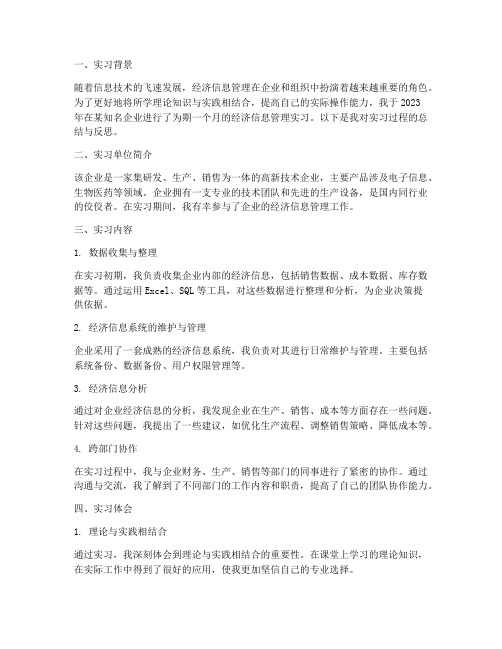 经济信息管理实习报告