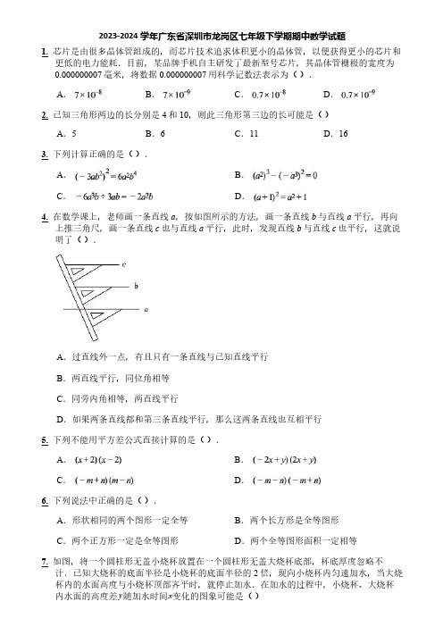 2023-2024学年广东省深圳市龙岗区七年级下学期期中数学试题