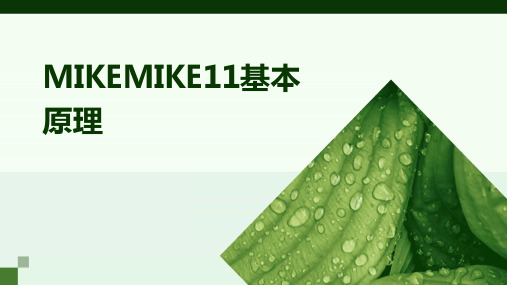 MIKEMIKE11基本原理