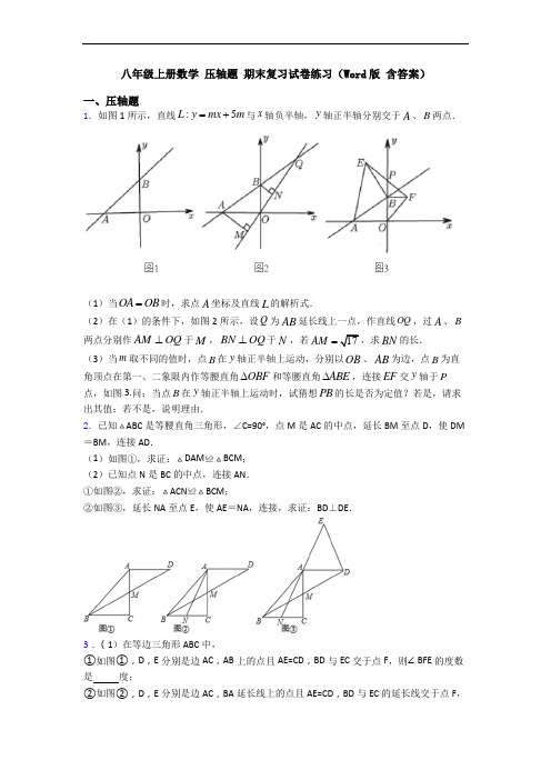八年级上册数学 压轴题 期末复习试卷练习(Word版 含答案)