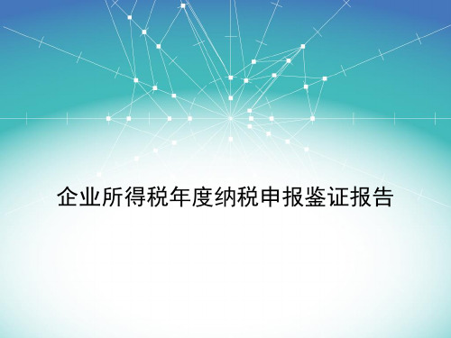 企业所得税年度纳税申报鉴证报告