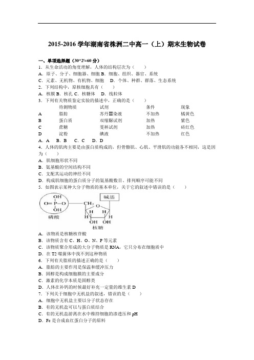 湖南省株洲二中2015-2016学年高一上学期期末生物试卷 