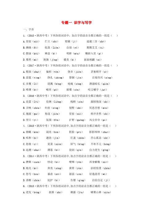 2020版中考语文一练通积累和运用专题真题5份