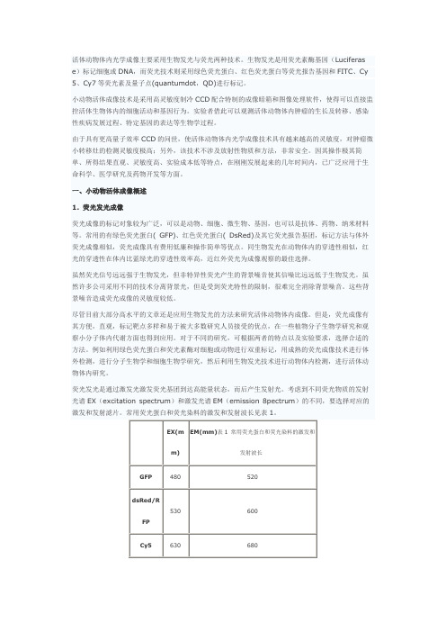 小动物活体成像技术的原理及操作方法