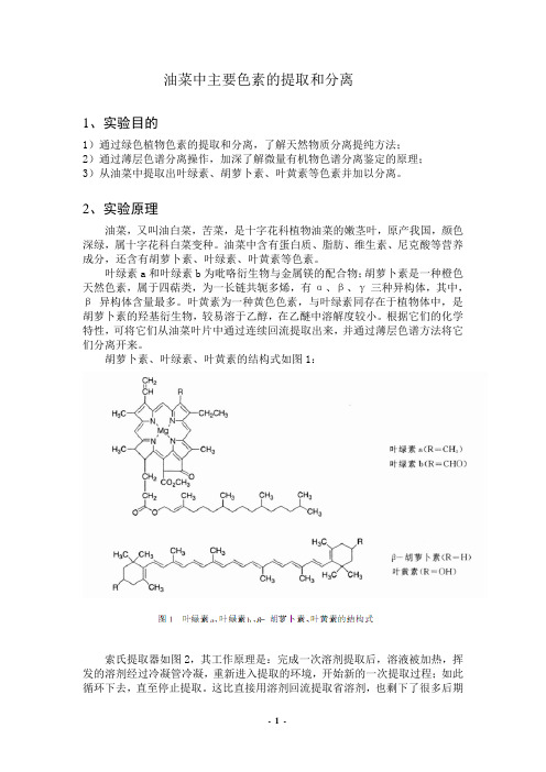 油菜中主要色素的提取和分离1