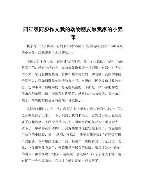 四年级同步作文我的动物朋友瞧我家的小猫咪