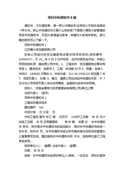 项目中标通知书6篇