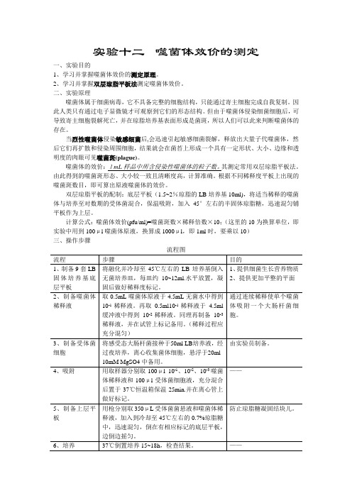 实验十二  噬菌体效价的测定