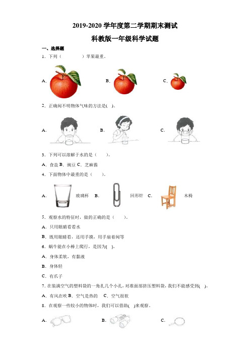 2020科教版一年级下册科学《期末测试卷》含答案