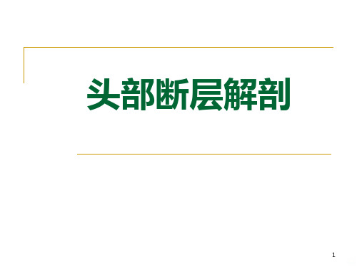 断层解剖学头部断层解剖学PPT课件