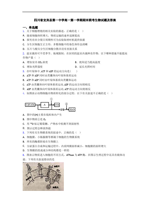 四川省宜宾县第一中学高一第一学期期末联考生物试题及答案