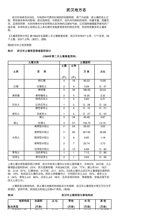 武汉地方志——精选推荐