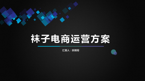 袜子电商运营方案电商运营策划方案袜子电商市场营销方案