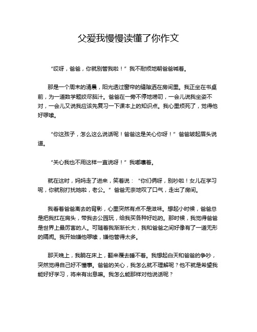 父爱我慢慢读懂了你作文