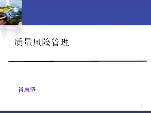 GMP概述+风险