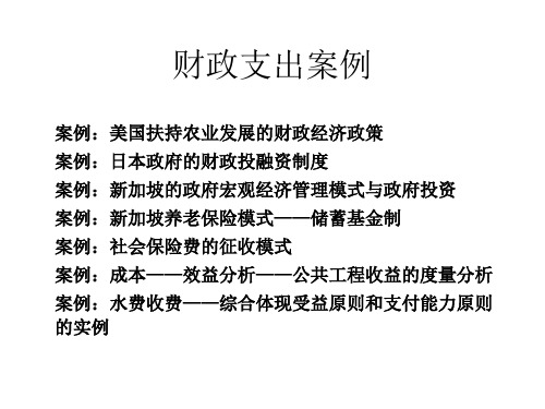 财政支出案例