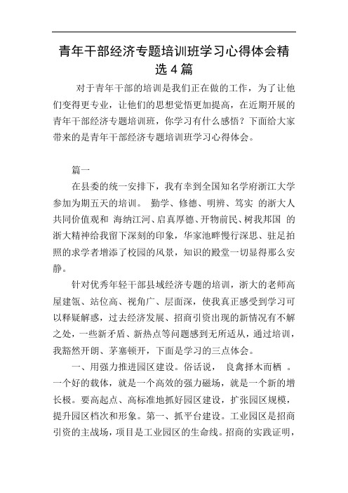 青年干部经济专题培训班学习心得体会精选4篇